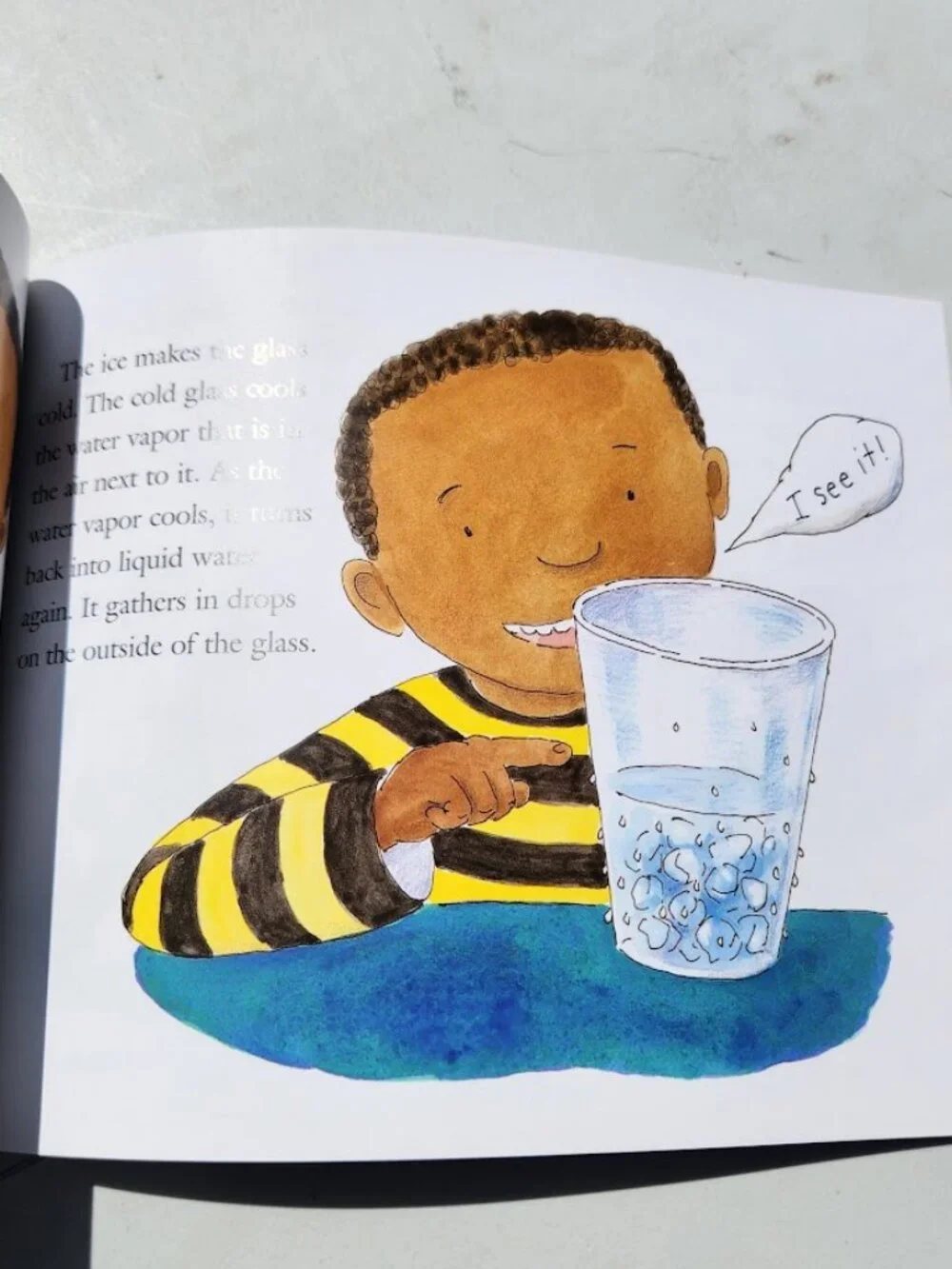 NEW Bookshark Science C Book Bundle Books Magic School Bus Marie Curie Includes: